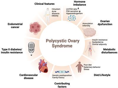 Dietary supplements in polycystic ovary syndrome–current evidence